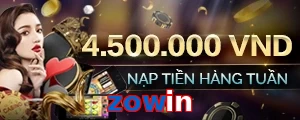 zowin