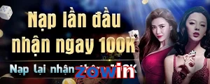 zowin